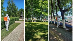 Прохоровские парки прошли санитарную обработку от клеща и других паразитов