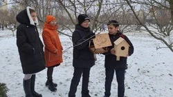 Прохоровские школьники приняли участие в традиционной экологической акции «Птицы – наши друзья»