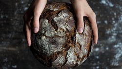 Жители региона смогут покупать хлеб из качественной белгородской муки
