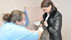Специалисты Госветслужбы рассказали прохоровцам о возможности бесплатной вакцинации животных