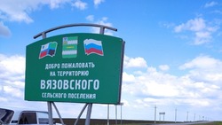 Распоряжение главы Вязовского сельского поселения №6 от 9 июня 2025 года