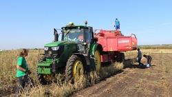 Прохоровские аграрии собрали рекордный урожай в 2022 году