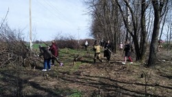 Прохоровцы провели весеннюю уборку районного центра