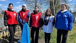 Прохоровцы приняли участие в мероприятиях по благоустройству и сохранению исторической памяти