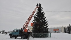 Работники коммунальной службы приступили к украшению главной ёлки в Прохоровке