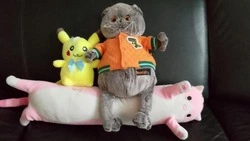 Прохоровцы смогут принять участие в акциях «Чисто свои. Игрушки» и «Чисто свои. Макулатура»