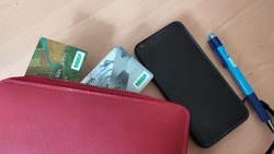Новые возможности по получению пенсий и пособий появились на сайте Почты России