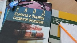 Суд приговорил прохоровца к году колонии за куст дикой конопли