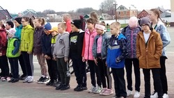 Ученики Прохоровской гимназии приняли участие в конкурсе по безопасности дорожного движения