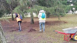 Прохоровские школьники помогли навести чистоту в посёлке во время каникул