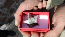 Боевая награда вернулась в семью героя Великой Отечественной войны