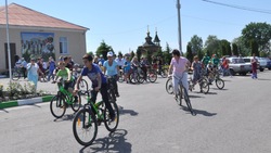 Любители велосипедного спорта проехали по маршруту Петровка-Вязовое