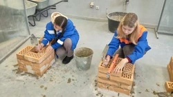 Кривошеевские школьники стали участниками профориентационного проекта «Билет в будущее»