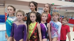 Прохоровские гимнастки выступили на открытом первенстве города Белгорода