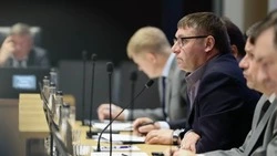 Александр Шуваев сообщил о новой мере поддержки для новорождённых