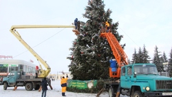 Более 300 метров гирлянд пойдёт на украшение главной новогодней ели Прохоровского района