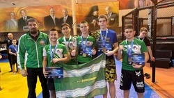 Прохоровские спортсмены выступили на областном первенстве по смешанному боевому единоборству