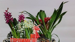Экологическая акция «Посади цветок Победы» стартовала в ДЮЦ Прохоровского района 