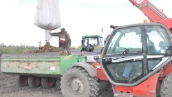 Прохоровские аграрии приступили к высадке картофеля