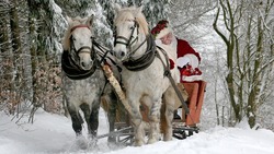 Белгородские школьники смогут посетить «Усадьбу Деда Мороза» в природном парке «Ключи»
