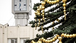 Социологическое агентство «Вебер» сообщило о планах россиян на Новый год