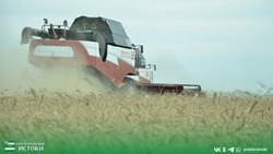 Прохоровские аграрии приступили к уборке яровой пшеницы и ячменя 