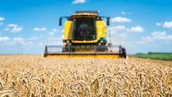 Аграрии Прохоровского района начали уборку зерновых культур