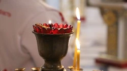 Вербное воскресенье: встреча Царя смирения