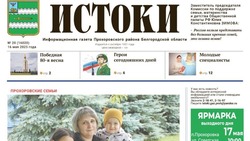 Газета «Истоки» №20 от 16 мая 2025 года