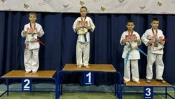 Прохоровские спортсмены пополнили копилки своих наград новыми медалями на турнире по каратэ