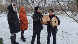 Прохоровские школьники приняли участие в традиционной экологической акции «Птицы – наши друзья»