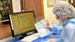 Правительство РФ выделило Белгородской области 117 млн рублей на цифровизацию здравоохранения