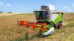 Прохоровские аграрии продолжат уборку зерновых культур