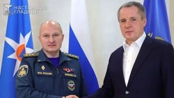Губернатор Вячеслав Гладков встретился с главой МЧС Александром Куренковым.