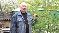 Николай Алексеевич Тяжлов: «Жизнь звала только вперёд...»