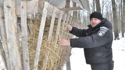 Сотрудник Экоохотнадзора Прохоровского района рассказал о поддержке диких животных зимой