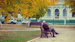 Белгородские пенсионеры смогут получить соцуслуги в денежном эквиваленте