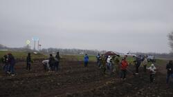 Жители Прохоровки посадили саженцы у строящегося микрорайона «Птичное»