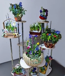 Виртуальная выставка цветов «Приближая дыхание весны» открылась в Прохоровском ДЮЦ