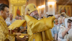 Епископ Губкинский и Грайворонский Софроний обратился к верующим в Рождественский праздник