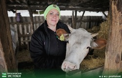 Семья Савенковых вышла на новый уровень развития личного подсобного хозяйства благодаря соцконтракту