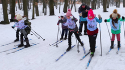 Первенство по лыжным гонкам прошло в Прохоровском районе