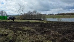 Очистка пруда в с. Андреевка продолжится в августе текущего года