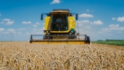 Правительство РФ направит Белгородской области 3,1 млрд рублей на поддержку сельского хозяйства 