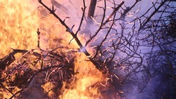 Сотрудники МЧС потушили возгорание сухой травы в Прохоровском районе