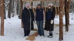 Новая «лесная столовая» для диких животных появилась в заказнике «Тетеревино»