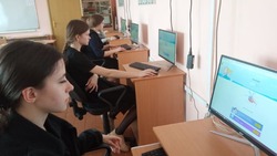 Прохоровские школьники приняли участие в онлайн-олимпиаде по информатике