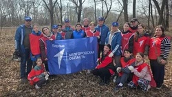 Масштабный субботник прошёл в Прохоровском мунокруге