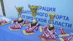 Второй инклюзивный фестиваль «Вместе мы сильнее» собрал школьников в Белгороде