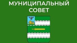 Распоряжение председателя муниципального совета № 61 от 7.02.2025 года